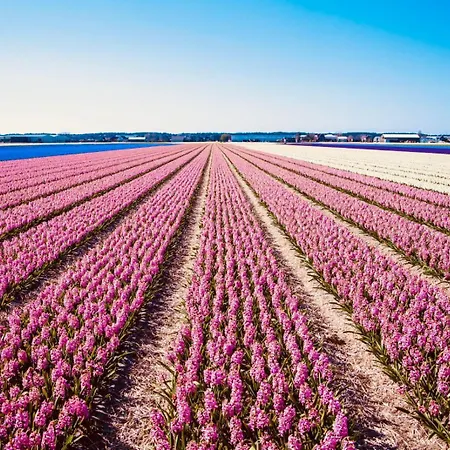 Noordster Beachhouse, Aan Zee Apartmán