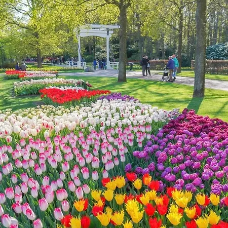 Noordster Beachhouse, Aan Zee Noordwijk